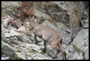 IMG_1578  